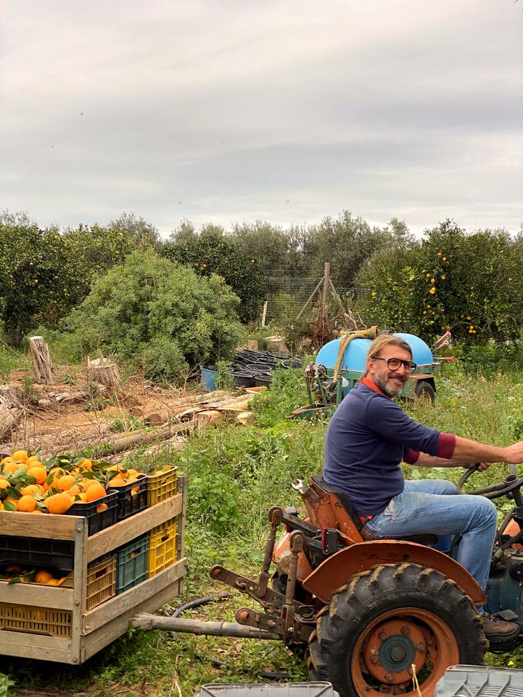 Emilio bei der Ernte auf dem Traktor